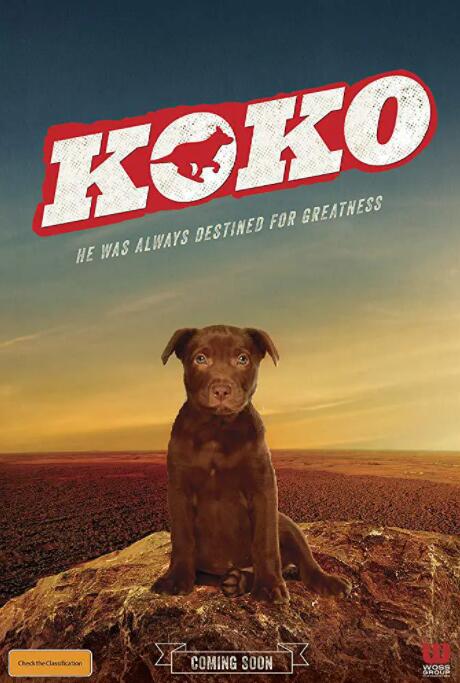 Koko:红犬历险记